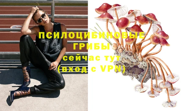 PSILOCYBIN Абдулино