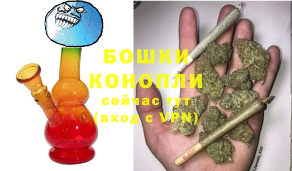 PSILOCYBIN Абдулино